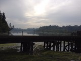 Downtown Olympia