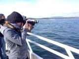 Taking pictures
