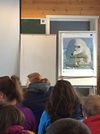 Where to shoot the polar bear...