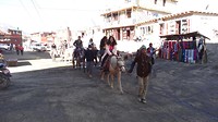 Muktinath. toeristen te paard