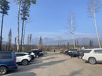 IMG_6531