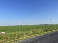Prachtig landschap Wojciechow Polen
