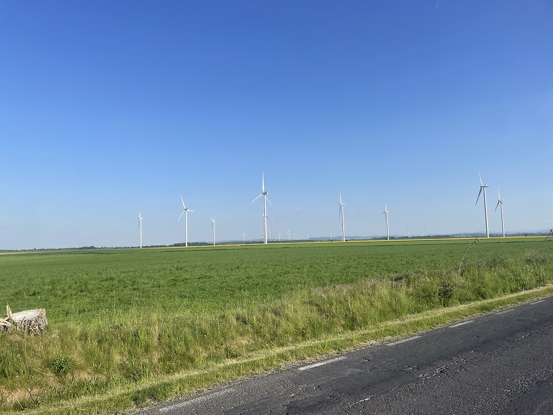 Prachtig landschap Wojciechow Polen
