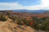 IMG_0367