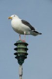 IMG_0551