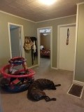 alle kamers en kleine Zara