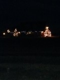 bij de kerstboom kweker