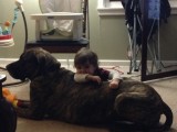 jett en zara