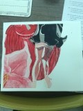 eerste waterverf painting