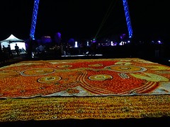 DSC07402
