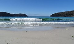DSC08667