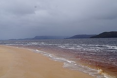 DSC07322