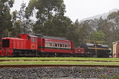 DSC07353