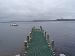 DSC08989