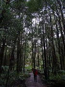 DSC09007