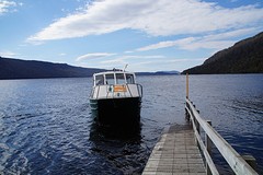 DSC07481