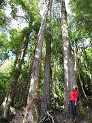 DSC09039