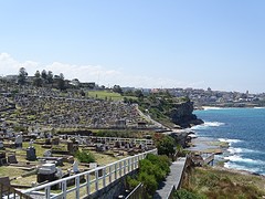 DSC09276