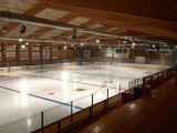 The Rink