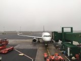 Weer terug naar huis