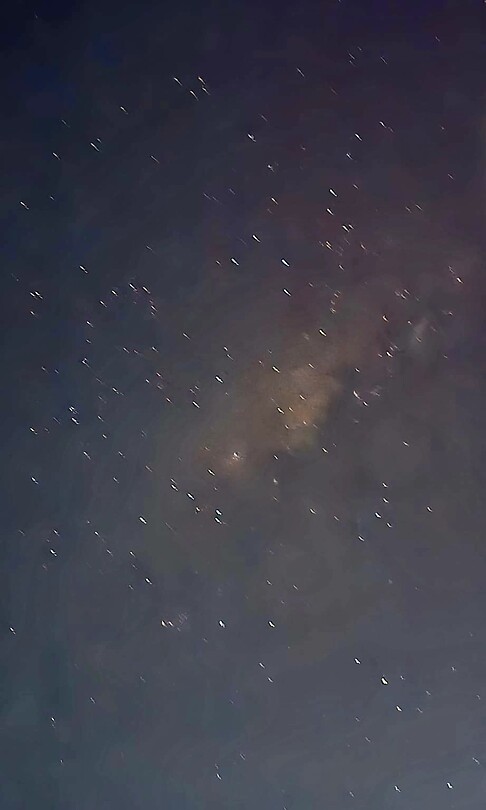 1000073698