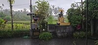 Tropische regen