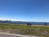 Brooklyn - Batch Beach