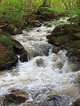 20190611_171031