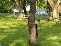 20190616_192046