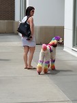 20190616_125829