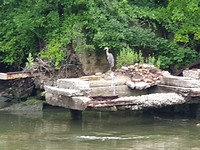 20190625_134503