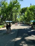 20190626_152020