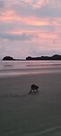 20240510_061547