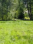 Ons eerste wild gespot onderweg