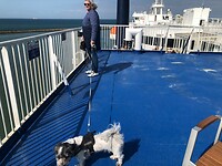 Dag 2 - Onderweg naar Denemarken
