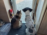 Dag 2 - Jut en Juul in Scandinavië...