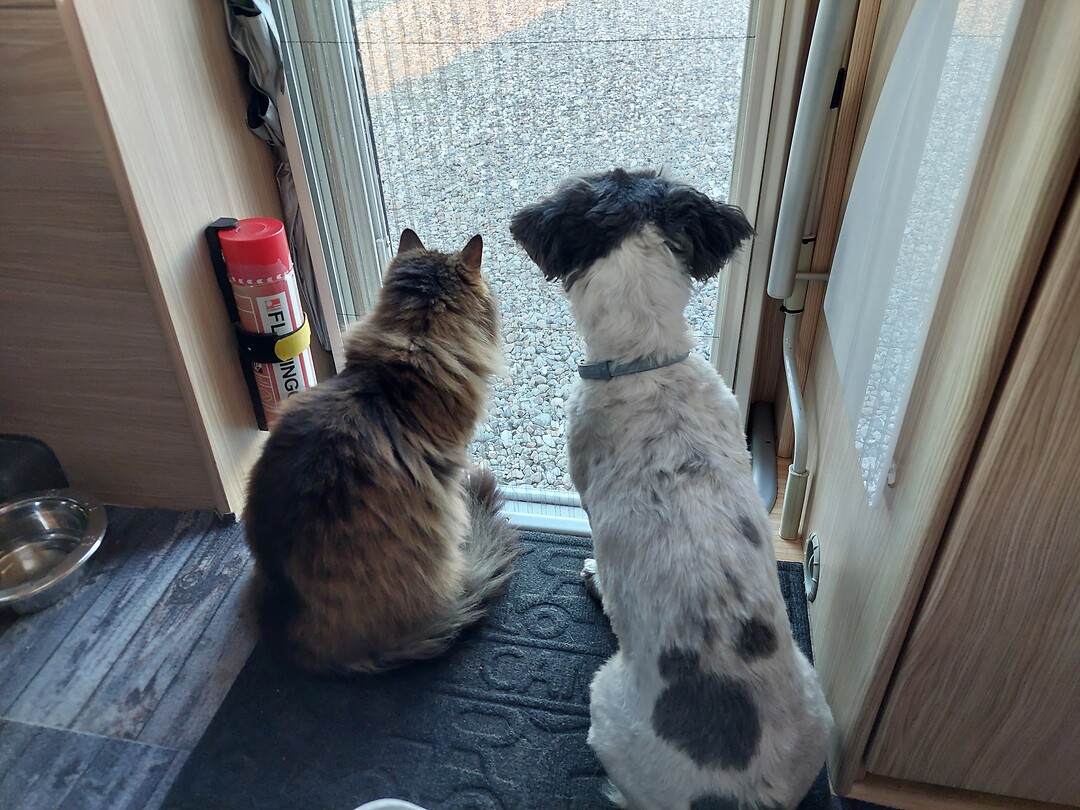 Dag 2 - Jut en Juul in Scandinavië...