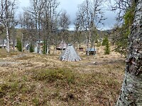 Sami- huisje