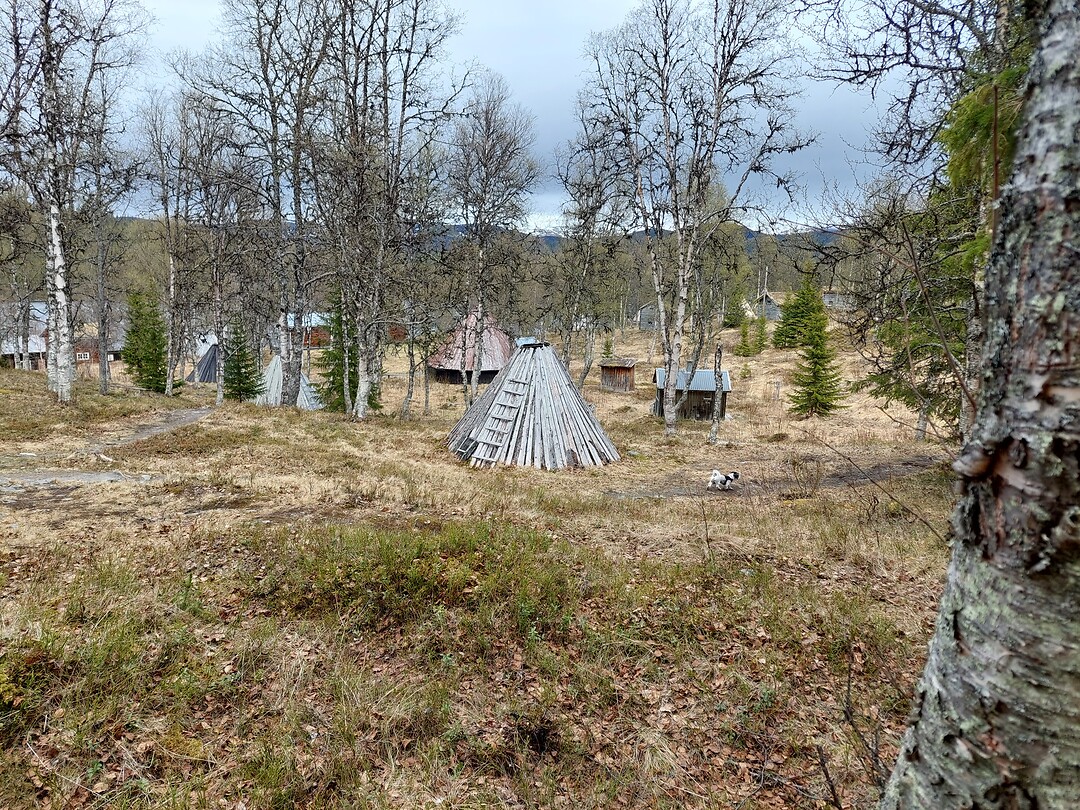 Sami- huisje