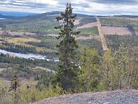 Stalonberget utsikt