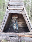 Camperplaats met kunst