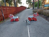 Dalarna paardjes
