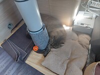 Romy is helemaal Zen onderweg