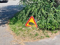 Let op: Grasmaaier!!