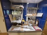 Wasa museum