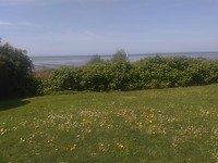IMG_20180502_201533[1]