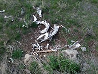 IMG_20180519_122600[1]