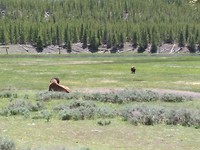 IMG_20180525_131753[1]