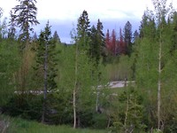 IMG_20180531_195246[1]