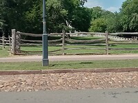 Duke of Gloucester Street